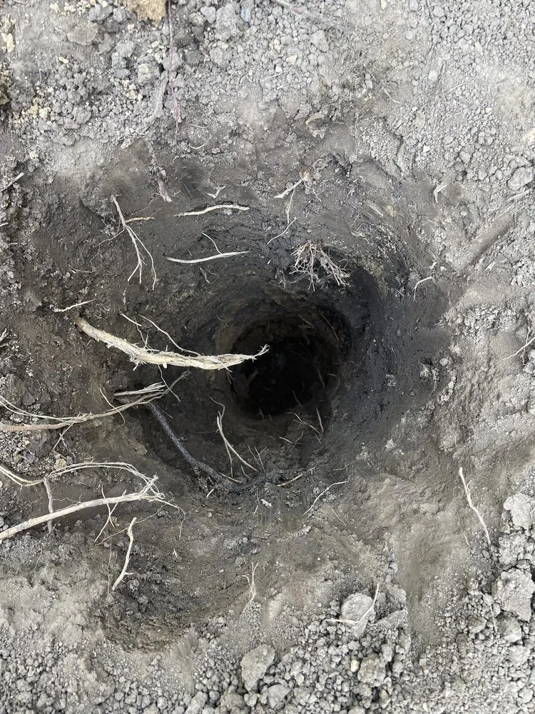 Expert yard maintenance for beautiful yards in Allen Park, MI by Downriver Seasonal Services