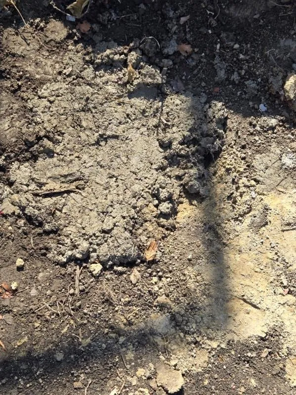 Reliable landscape design in Allen Park, MI by Downriver Seasonal Services