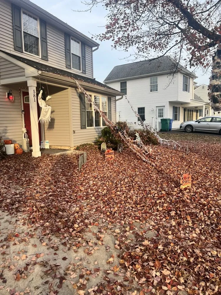 Custom garden landscaping in Bristol, PA by Downs' Gutter Cleaning and Yard Care