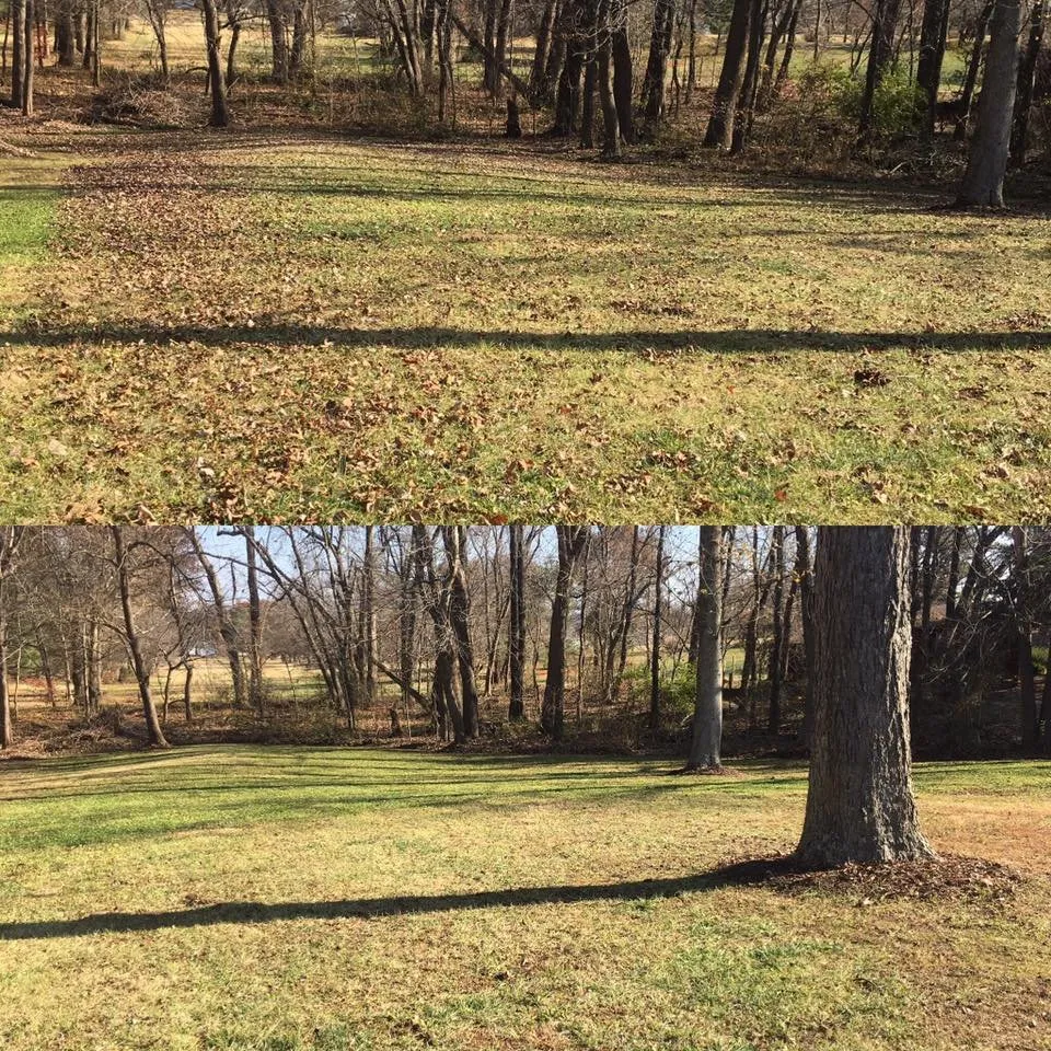 Trusted landscape installation for homes in Evansville, IN by Downs Pro Lawn Care