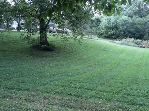 Custom yard cleanup service for residential properties in Evansville, IN by Downs Pro Lawn Care