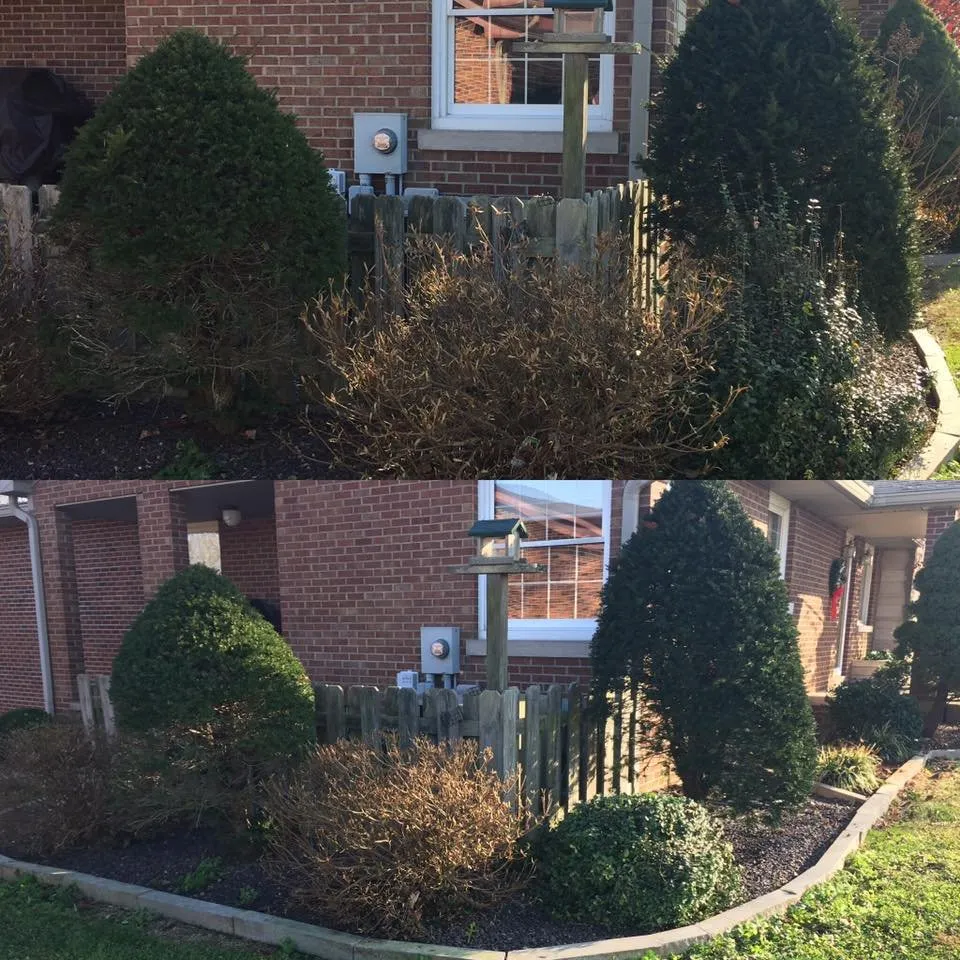 Affordable lawn mowing service in Evansville, IN - Downs Pro Lawn Care