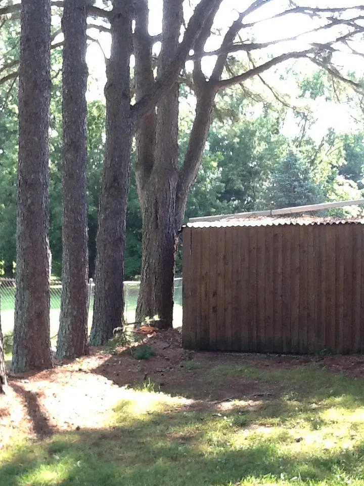 Custom yard maintenance in Jasper, AL - Downs Tree Service