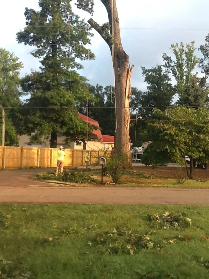 Custom residential landscaping experts serving Jasper, AL - Downs Tree Service