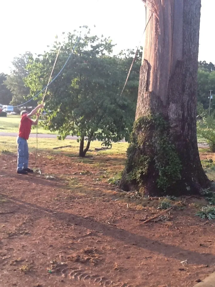 Top-rated lawn mowing service in Jasper, AL by Downs Tree Service