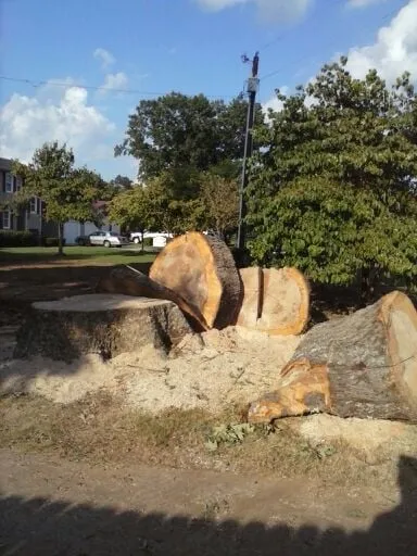 Expert garden landscaping in Jasper, AL by Downs Tree Service