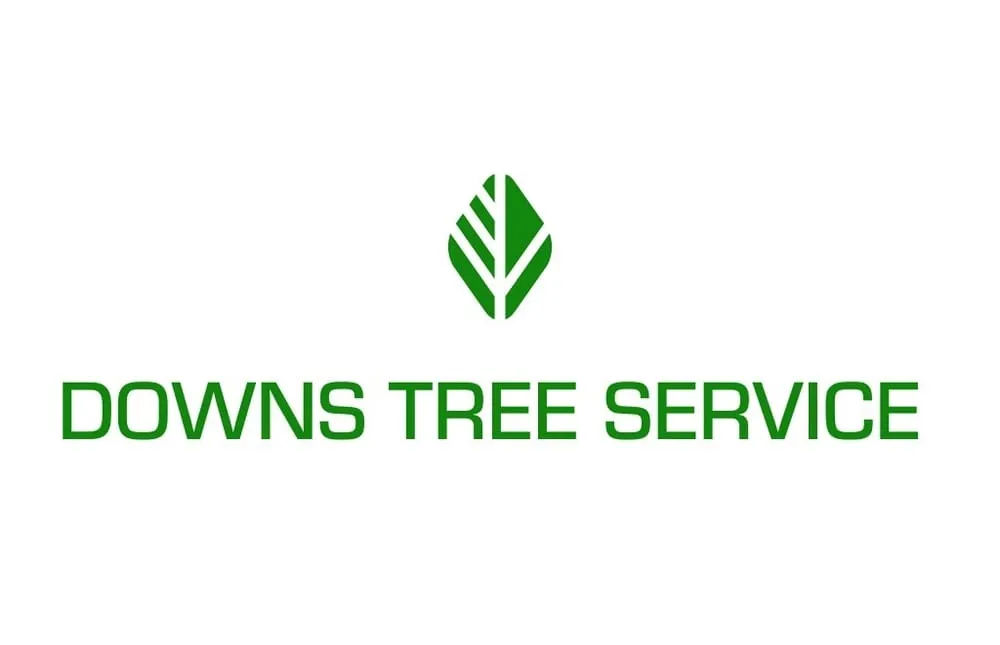 Reliable lawn care service in Jasper, AL - Downs Tree Service