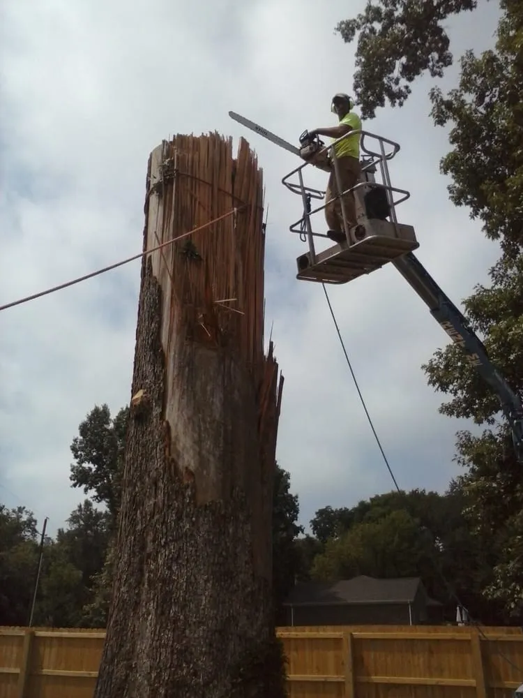 Top-rated lawn mowing service experts serving Jasper, AL - Downs Tree Service