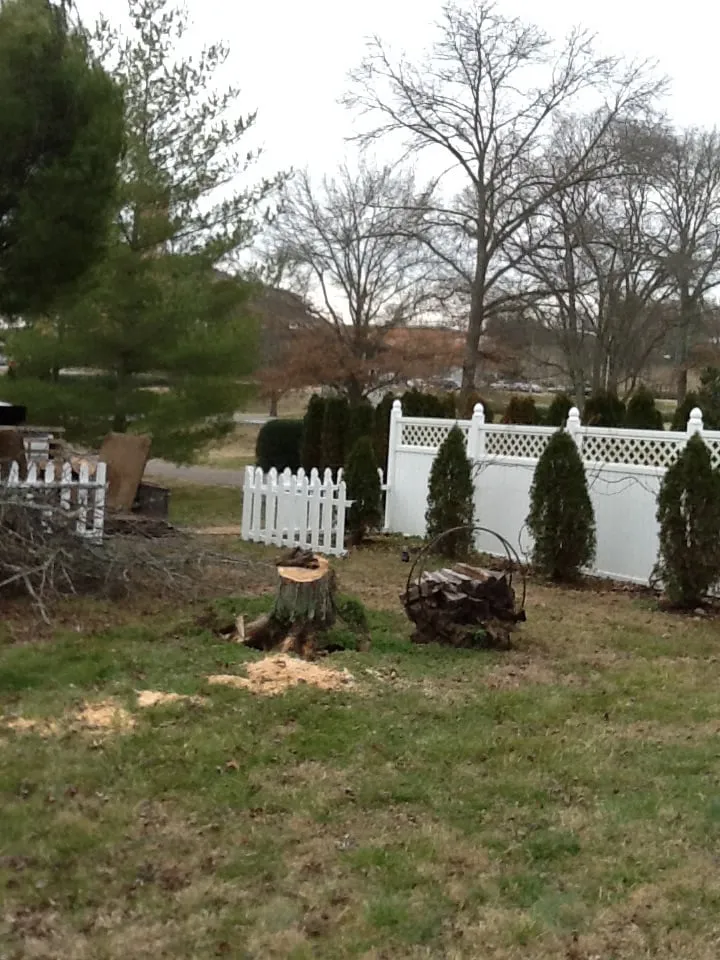 Professional landscape design experts serving Jasper, AL - Downs Tree Service