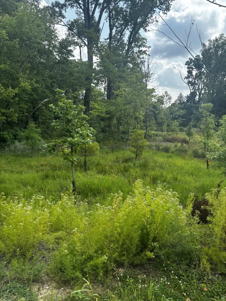 Affordable garden landscaping for outdoor upgrades in Mount Sterling, OH by Downstream Restoration