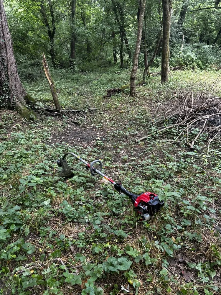 Local outdoor landscaping in Mount Sterling, OH - Downstream Restoration