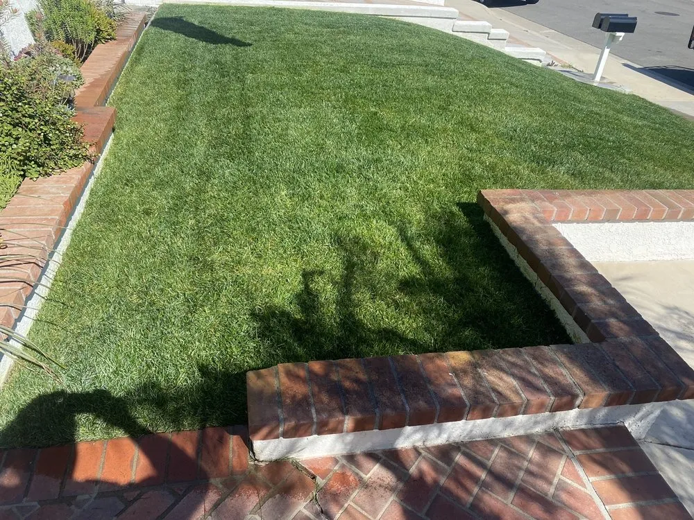 Reliable landscape design for homes in Capistrano Beach, CA by Downunder Landscape