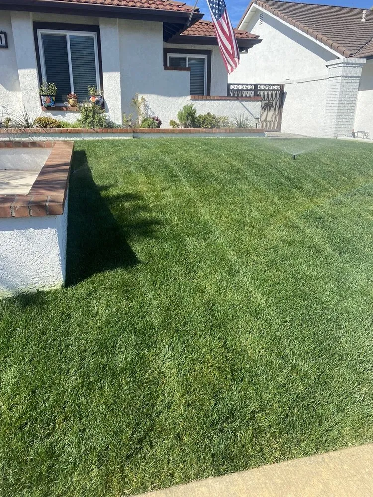 Custom landscape design for outdoor upgrades in Capistrano Beach, CA by Downunder Landscape