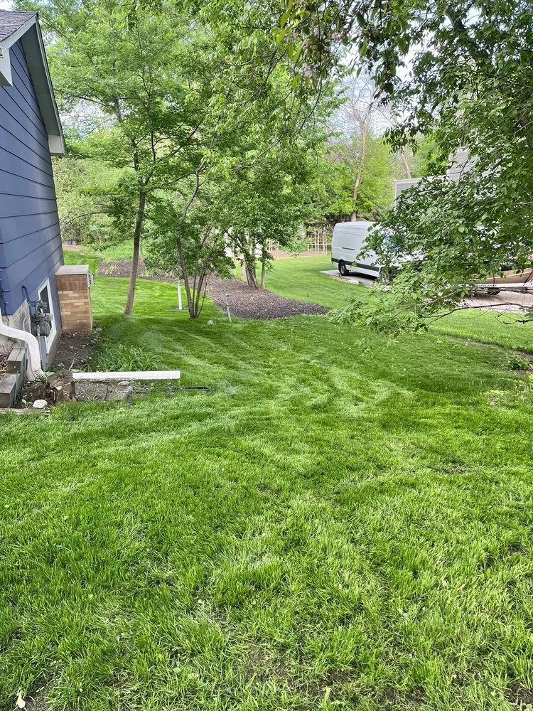 Top-rated lawn care service for homes across Minneapolis, MN - Dow's Lawn and Snow