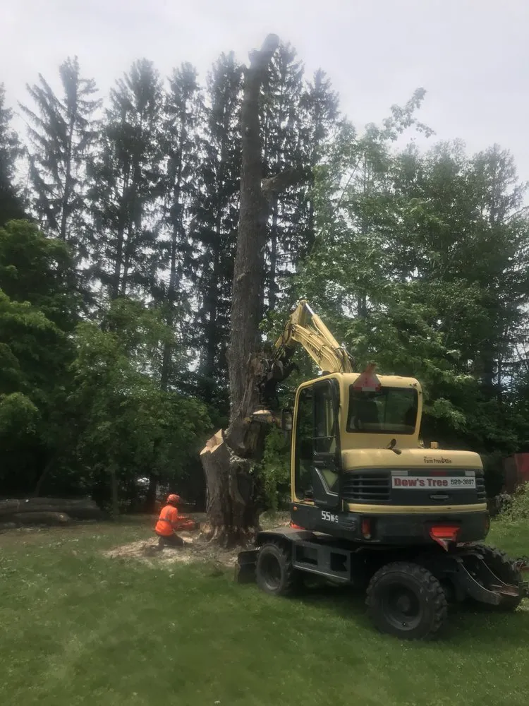 Affordable yard cleanup service for year-round maintenance in Weare, NH by Dows Outdoor Services