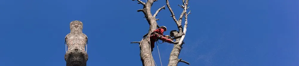 Reliable yard maintenance in Weare, NH - Dows Outdoor Services