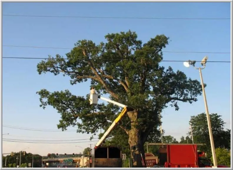 Trusted landscape design experts serving Weare, NH - Dows Outdoor Services