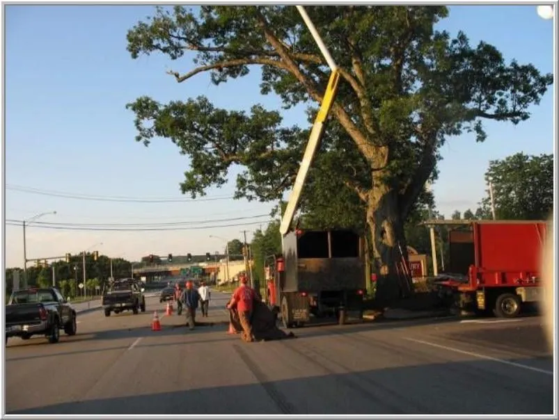 Affordable yard maintenance in Weare, NH by Dows Outdoor Services