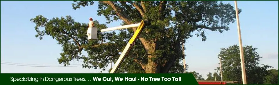 Professional residential landscaping in Weare, NH - Dows Outdoor Services