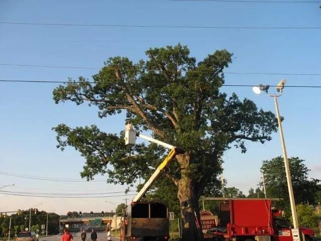 Affordable yard cleanup service for homes in Weare, NH by Dows Outdoor Services