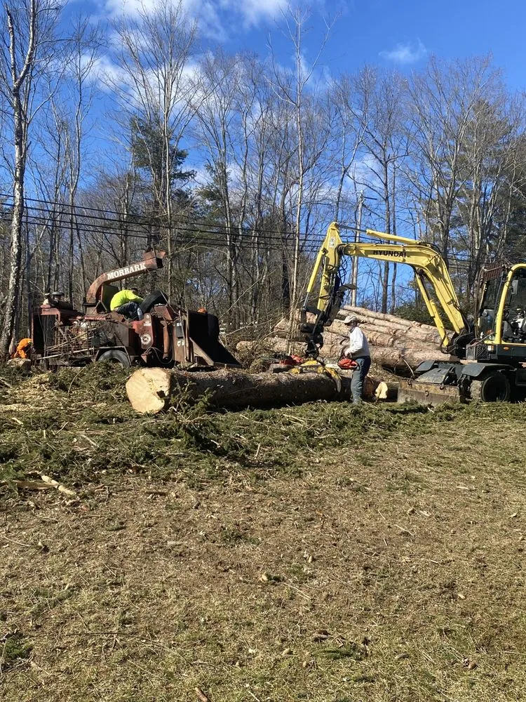 Affordable yard cleanup service in Weare, NH by Dows Outdoor Services