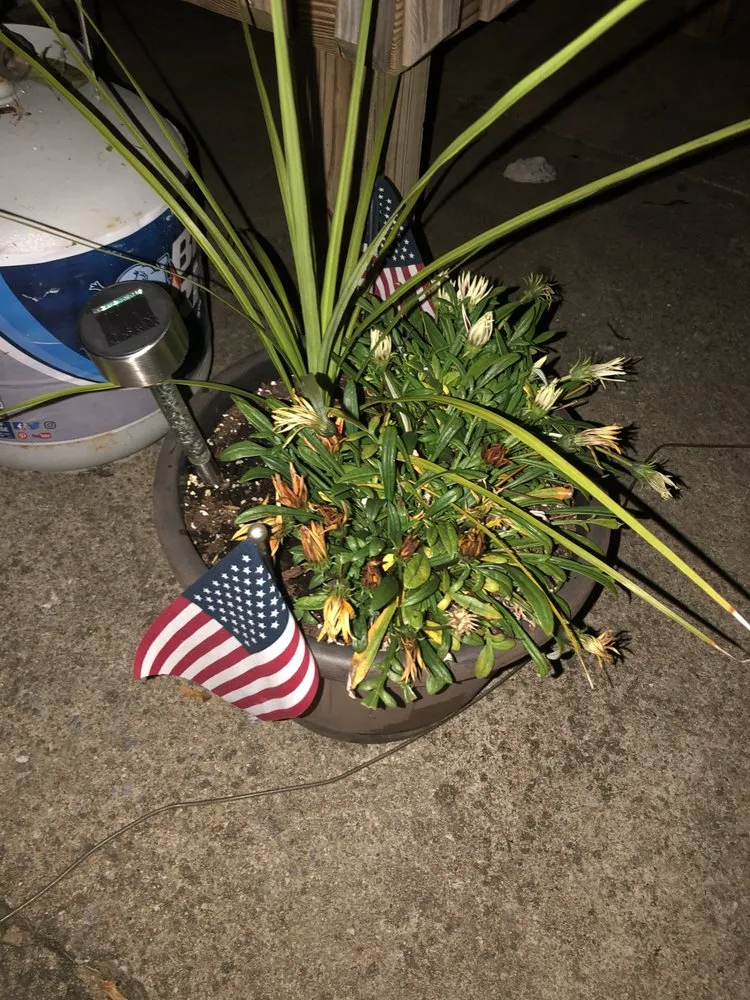 Affordable lawn care service experts serving East York, PA - Dowseys Yard Care