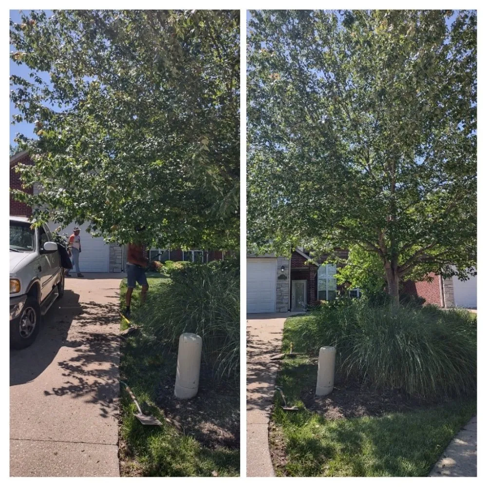 Professional landscape installation experts serving Columbia, MO - Doxley Landscaping & Design