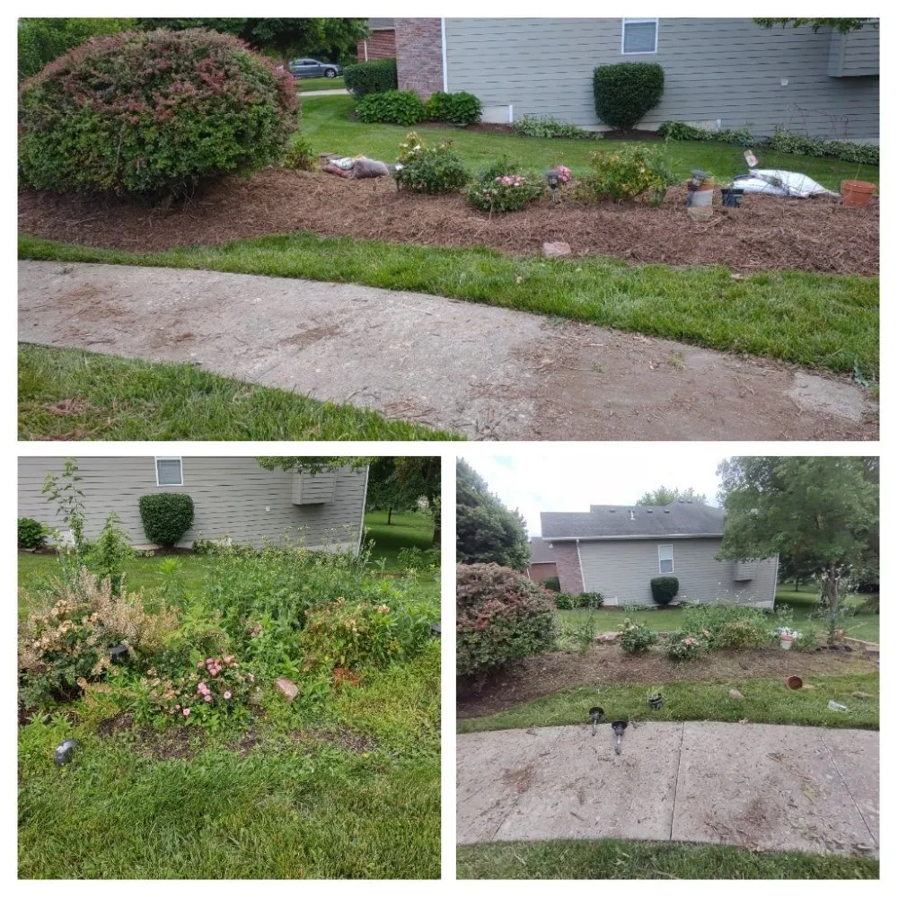 Local landscape installation for homes in Columbia, MO by Doxley Landscaping & Design