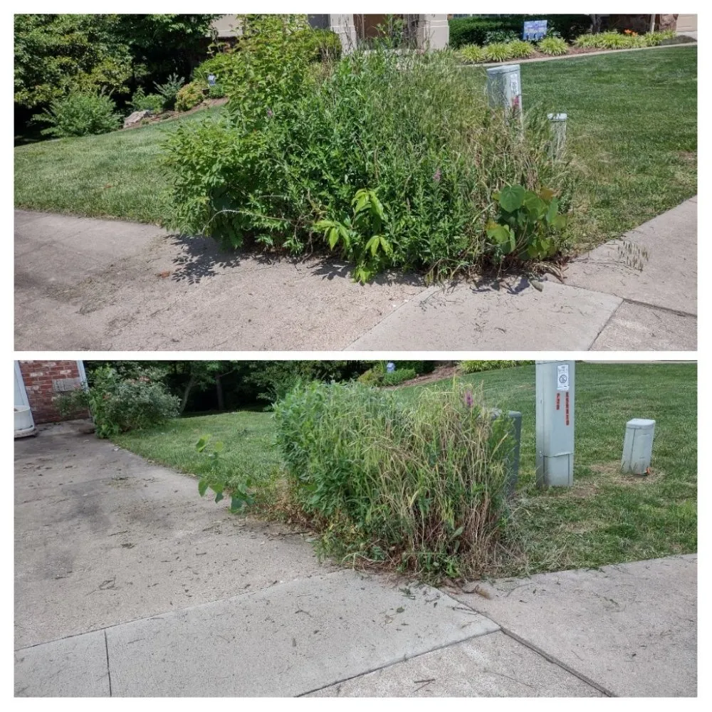 Professional landscape design in Columbia, MO - Doxley Landscaping & Design