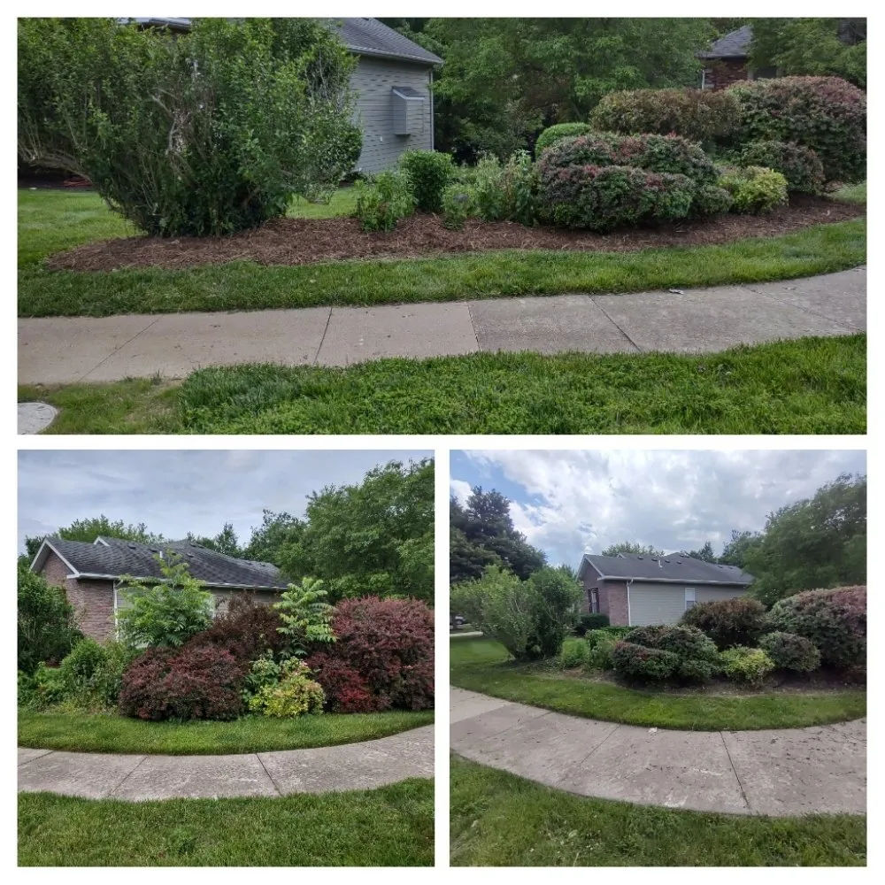 Top-rated lawn care service experts serving Columbia, MO - Doxley Landscaping & Design