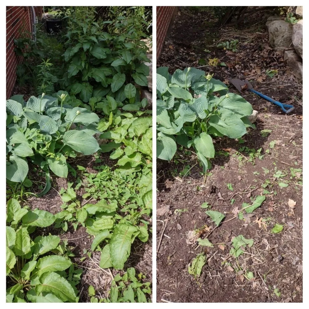 Trusted landscape design for homes in Columbia, MO by Doxley Landscaping & Design