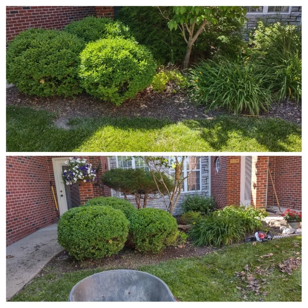 Top-rated yard cleanup service with custom design in Columbia, MO by Doxley Landscaping & Design