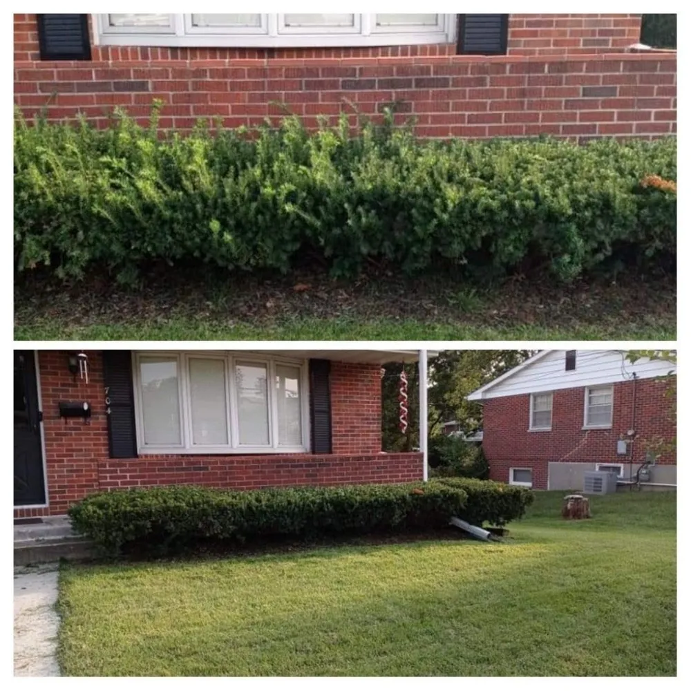 Trusted lawn mowing service experts serving Columbia, MO - Doxley Landscaping & Design