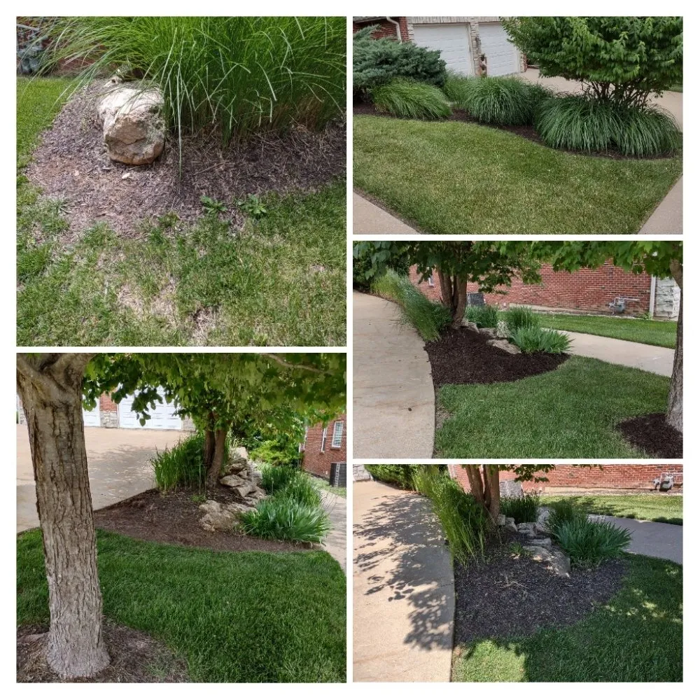 Affordable landscape installation in Columbia, MO by Doxley Landscaping & Design