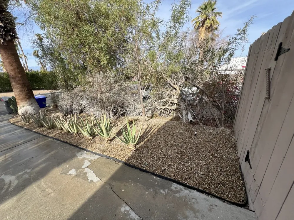 Professional lawn care service with custom design across Desert Hot Springs, CA - Doyen