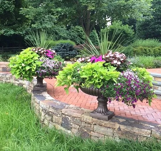 Top-rated landscaping services for residential properties across Berwyn, PA - Doyle and McDonnell
