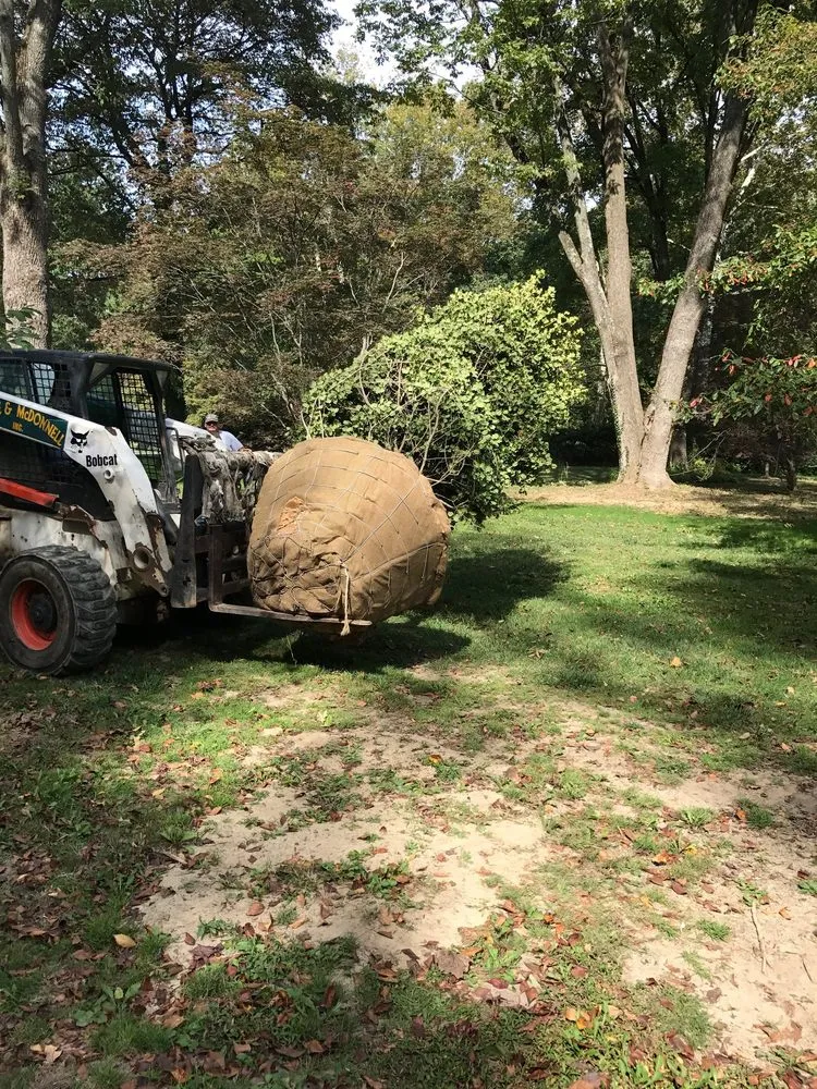 Expert lawn care service with custom design in Berwyn, PA by Doyle and McDonnell