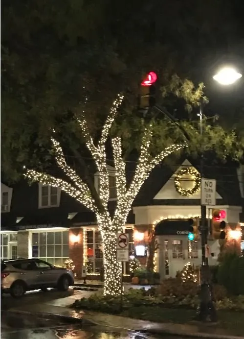 Local landscaping services near you across Berwyn, PA - Doyle and McDonnell