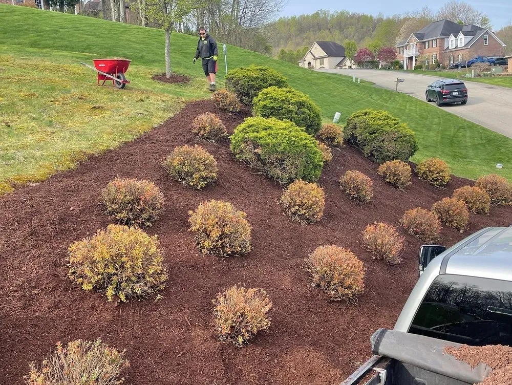 Custom lawn care service in Monroeville, PA - Doyle Bros Lawn Care