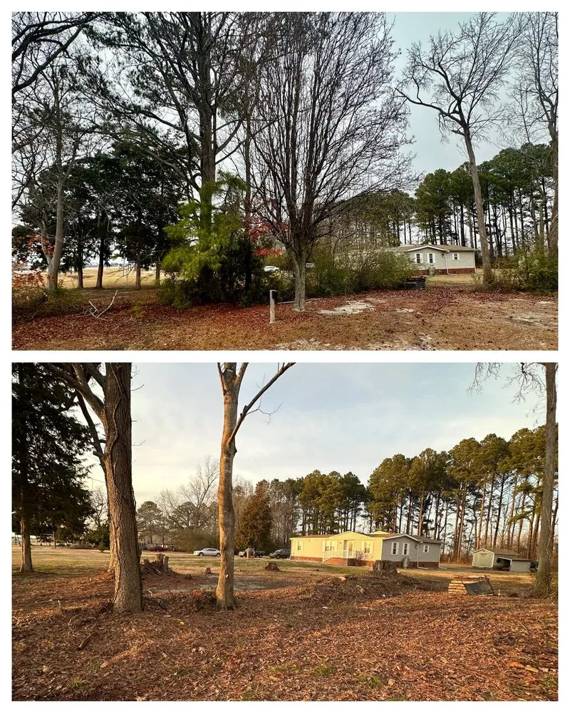 Professional lawn care service experts serving Moyock, NC - Doyle Enterprises