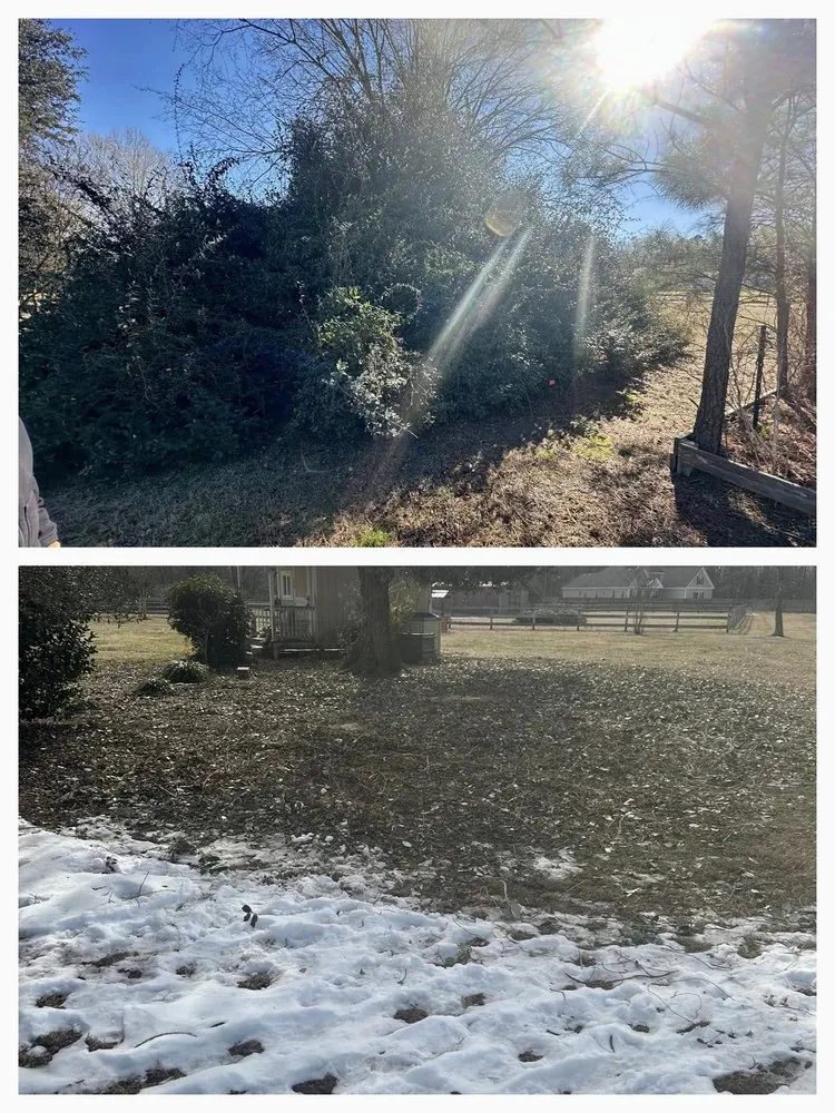 Expert lawn care service for outdoor upgrades across Moyock, NC - Doyle Enterprises