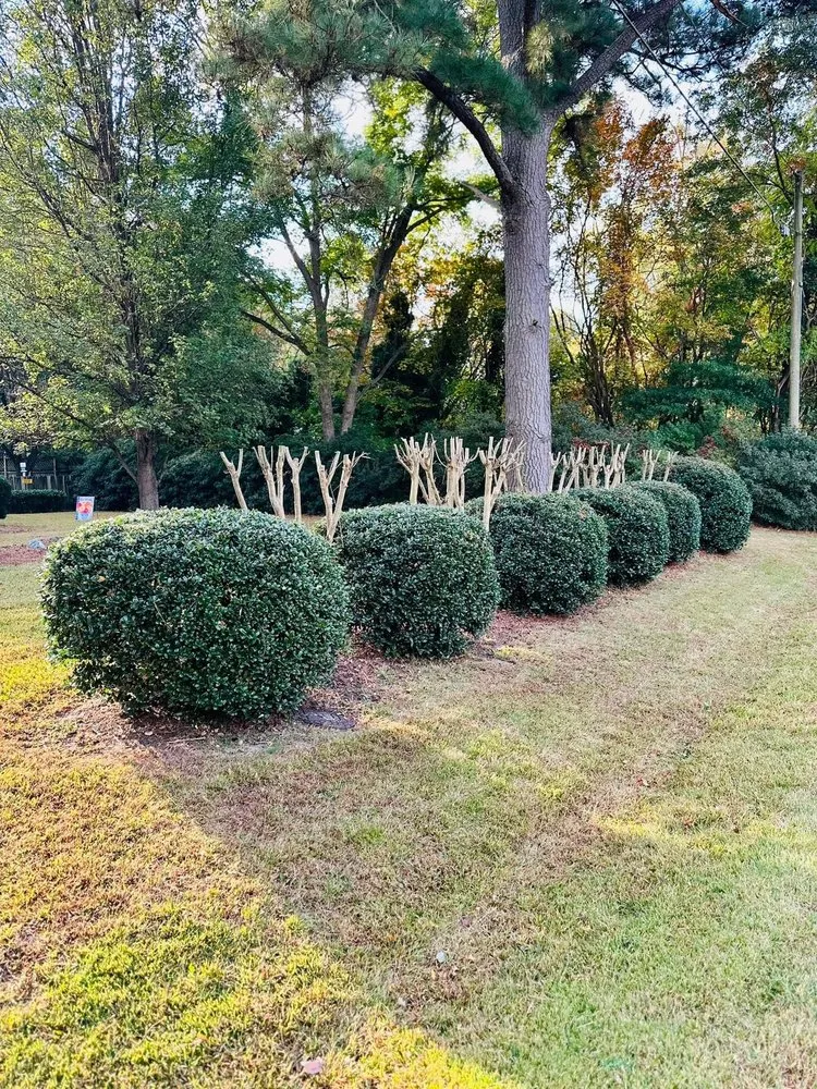 Top-rated lawn mowing service for outdoor upgrades across Moyock, NC - Doyle Enterprises