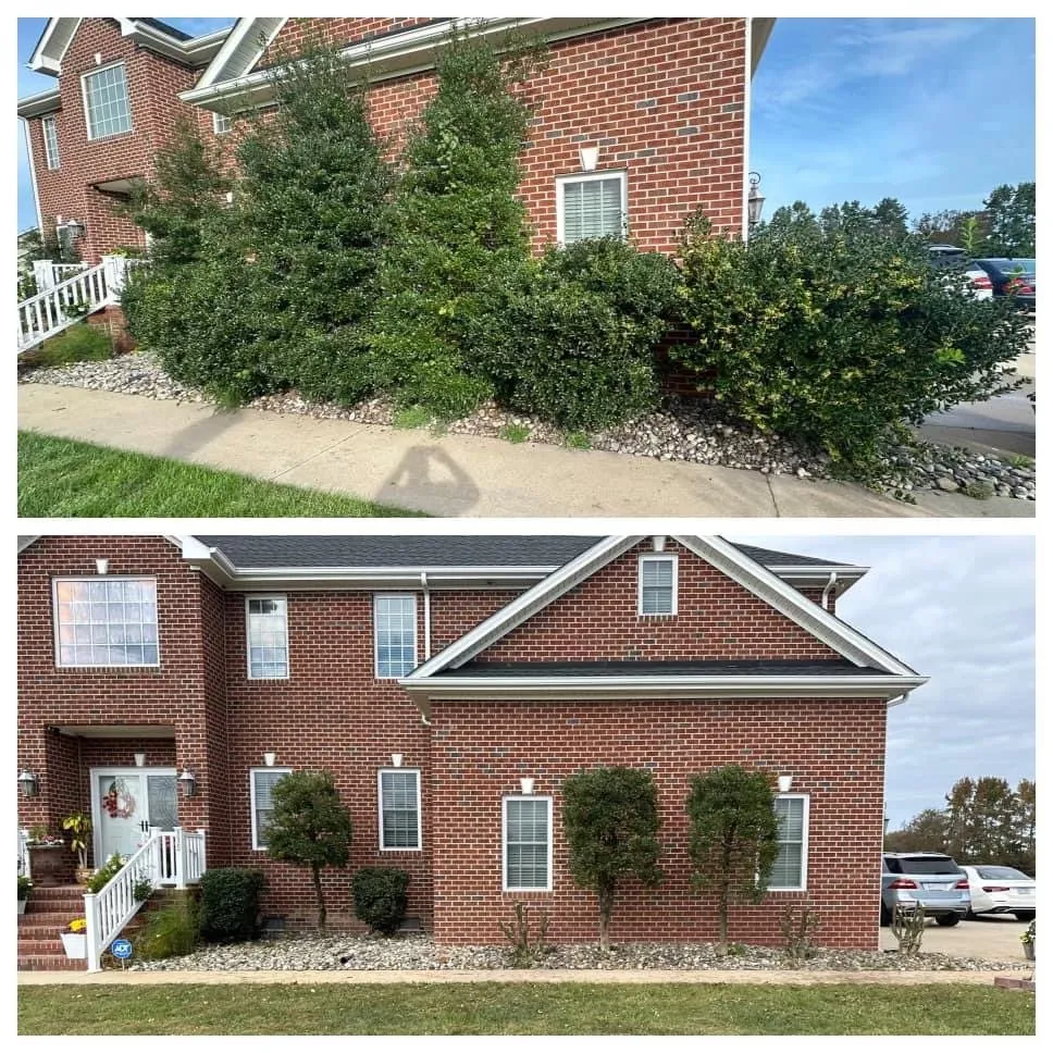 Professional yard cleanup service for year-round maintenance in Moyock, NC by Doyle Enterprises