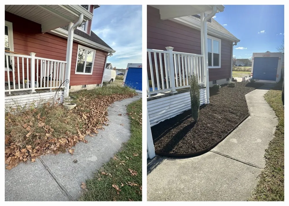Professional yard cleanup service in Moyock, NC by Doyle Enterprises