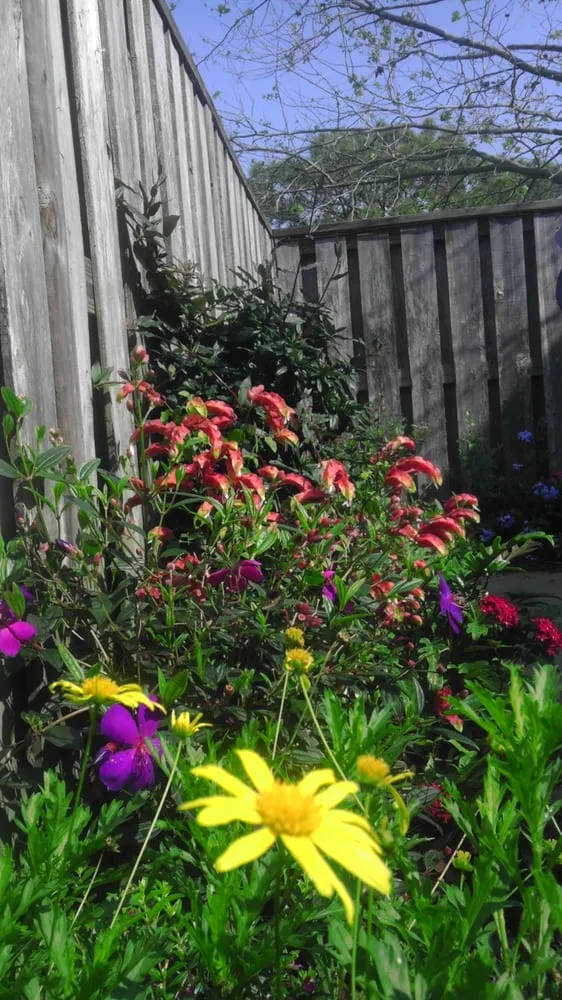 Expert lawn care service in Orlando, FL by Doyle Land Systems