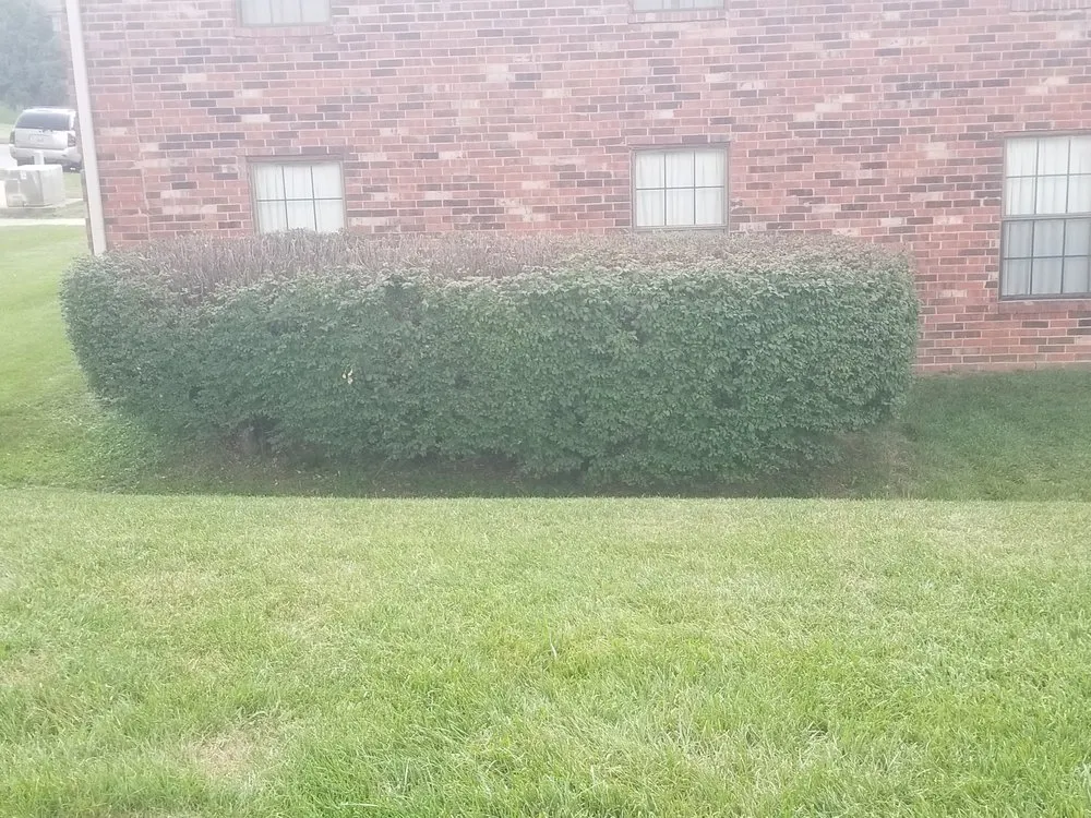 Expert outdoor landscaping in Winchester, KY by Doyle's Lawn & Landscaping