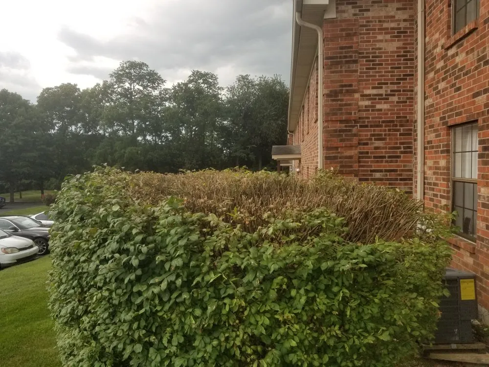 Expert outdoor landscaping for outdoor upgrades across Winchester, KY - Doyle's Lawn & Landscaping