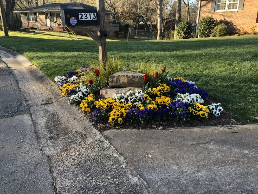 Affordable lawn mowing service experts serving Marietta, GA - Doza Landscape