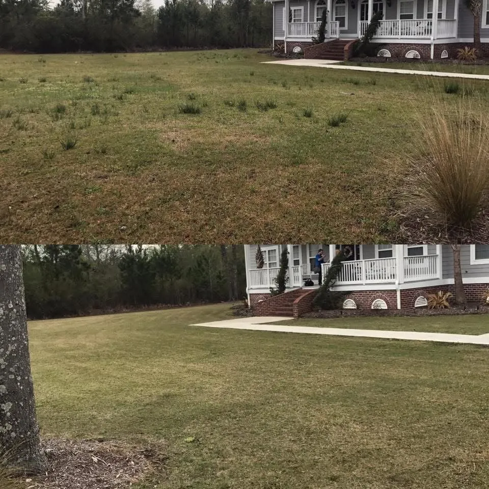 Top-rated landscaping services for homes in Loris, SC by Dozier’s Lawn Care