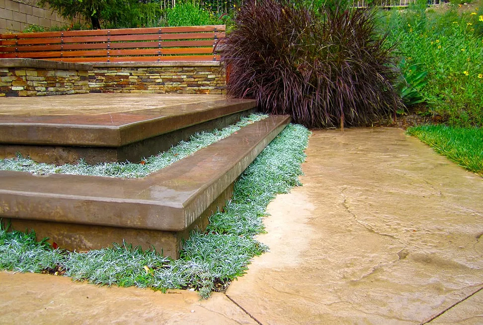Top-rated landscaping services in Arcadia, CA - DP Environments